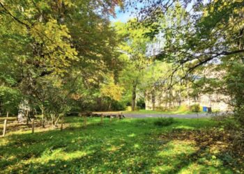 Ten krakowski park odzyska dawny blask! Będzie wielka metamorfoza – zobacz, co się zmieni