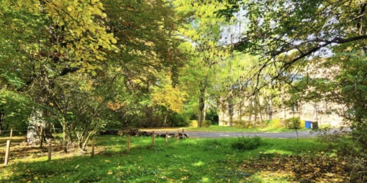 Ten krakowski park odzyska dawny blask! Będzie wielka metamorfoza – zobacz, co się zmieni