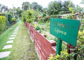 Kraków wspiera ogrody działkowe! Rusza nabór wniosków o miejskie dotacje
