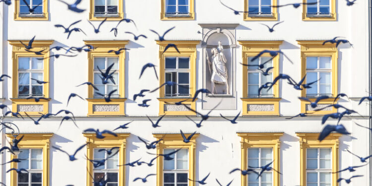 Kraków świętuje kulturę! Dzień Otwarty Muzeów już w najbliższą niedzielę