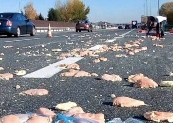 Zaskakujący incydent na autostradzie A4. Na jezdni wylądowało mrożone mięso