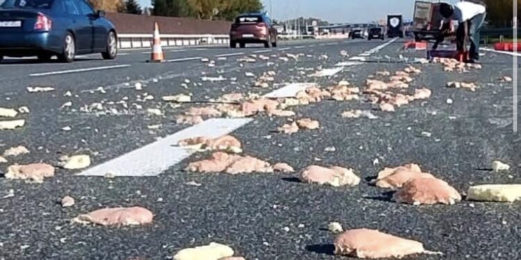 Zaskakujący incydent na autostradzie A4. Na jezdni wylądowało mrożone mięso