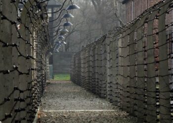 Nowe ogrodzenie wokół Auschwitz II-Birkenau. Muzeum zapowiada wieloletnie prace od 2026 roku