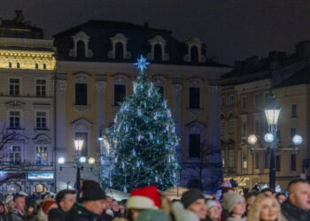 Tysiące osób na Rynku! Największa krakowska choinka zabłysła w świątecznym blasku