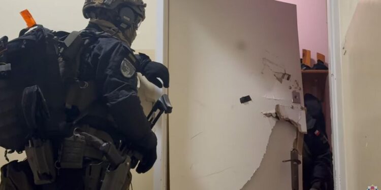 Nocna akcja służb w Małopolsce. Gang narkotykowy rozbity, 110 kilogramów nielegalnych substancji w rękach policji