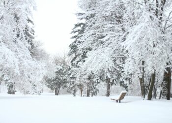 Zima uderzy z pełną siłą. Małopolskę czekają śnieżyce, siarczysty mróz i realne zagrożenia