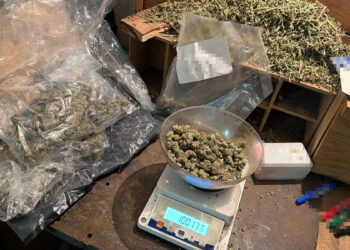 Akcja policji w Krakowie. Przejęto niemal 100 kilogramów zakazanych substancji