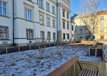 Plac Wolnica przechodzi rewolucję!