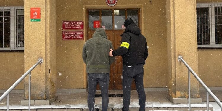 Żądali fortuny w dolarach. Policyjna akcja w Krakowie zakończyła się zatrzymaniem braci