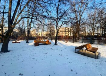 Nowy psi wybieg w Krakowie. Aleja Kijowska zmienia się dla mieszkańców i czworonogów