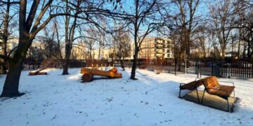 Nowy psi wybieg w Krakowie. Aleja Kijowska zmienia się dla mieszkańców i czworonogów