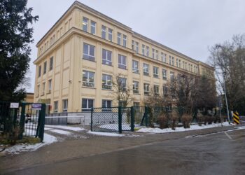 Krowodrza zyska nową zieloną przestrzeń. Rusza projektowanie ogrodu deszczowego przy ul. Urzędniczej